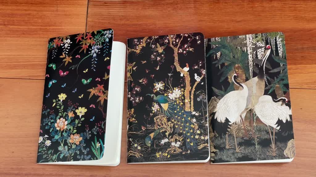 Ashmolean Museum mini notebooks set in sleeve