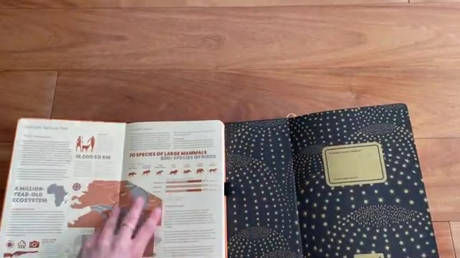 Dingbats Earth Collection information pages and pocket