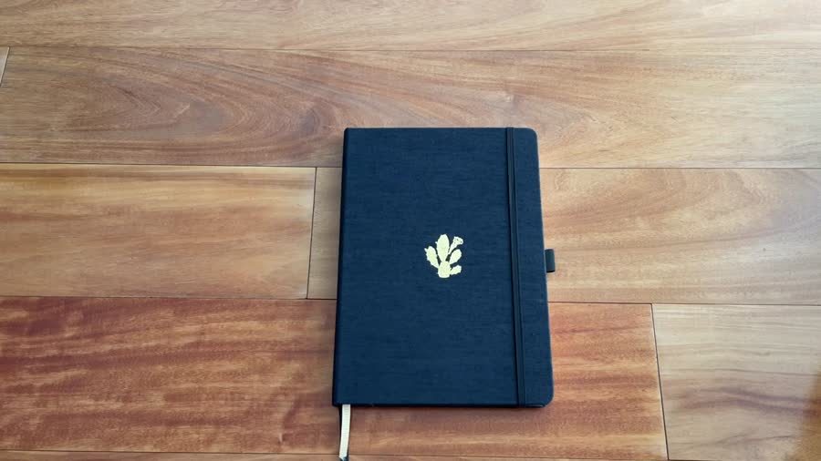 Dingbats Pro Notebook Review 1 Dingbats Pro notebook cover overview