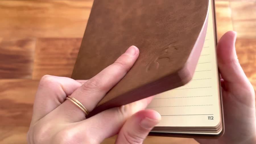 LeStallion lined notebook with numbered pages