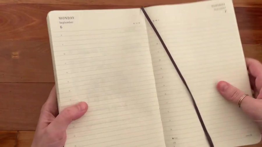 Inside page layout of the Moleskine daily planner
