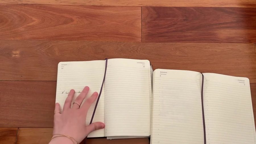 Open Moleskine planners showing used daily pages