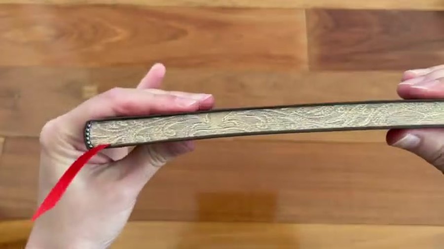 Paperblanks Flexis Notebook Review 2 Paperblanks Flexis notebook spine and page edge detail