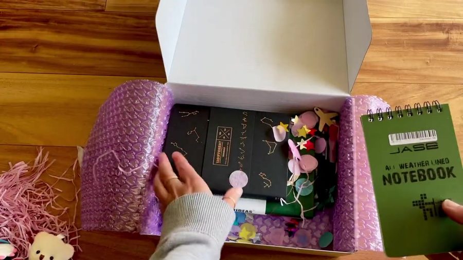 Stationery Pal haul contents with notebooks and accessories