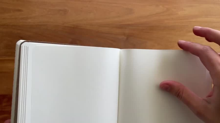 Close-up of thin Tomoe River paper pages