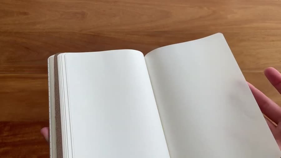 Thin Tomoe River paper pages being flipped