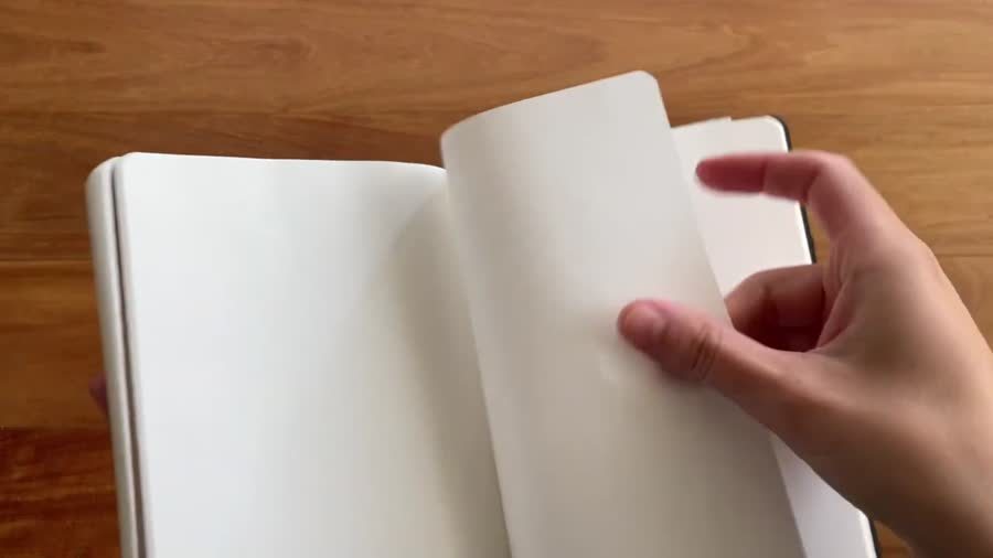Written Tomoe River notebook pages showing crinkle and use