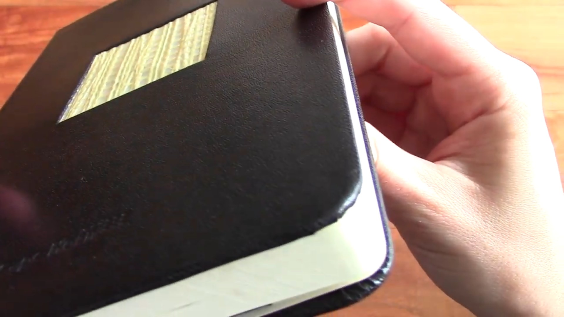 Cape Horn notebook pages
