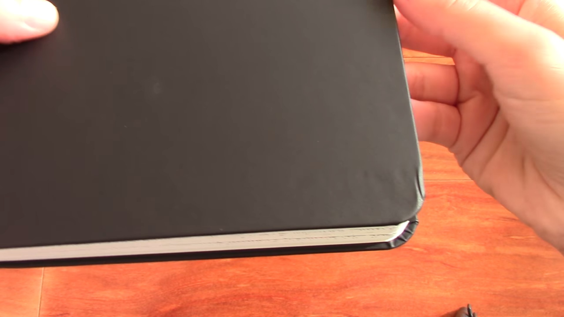 Coloring Notebook open