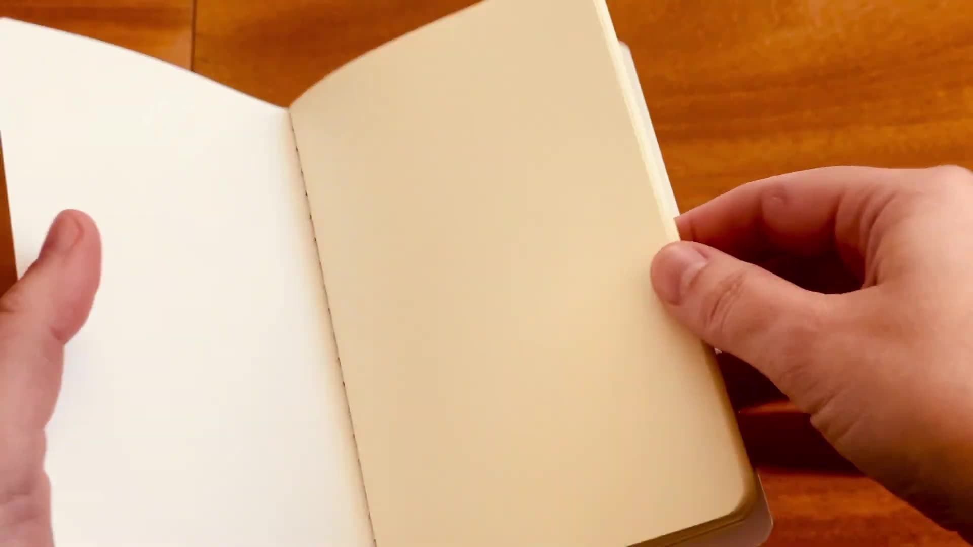 Daler Rowney Pocket Sketchbook Review 5 Daler Rowney pocket sketchbook cream colored blank pages