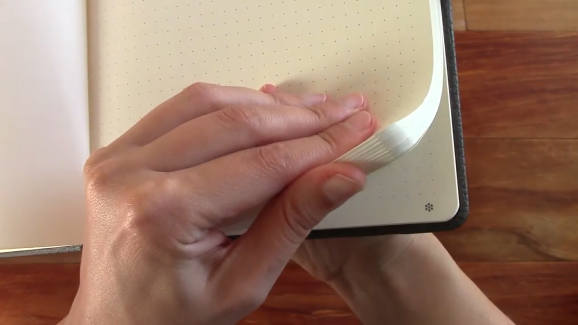 Dingbats Notebook Review 4 Dingbats notebook pocket detail