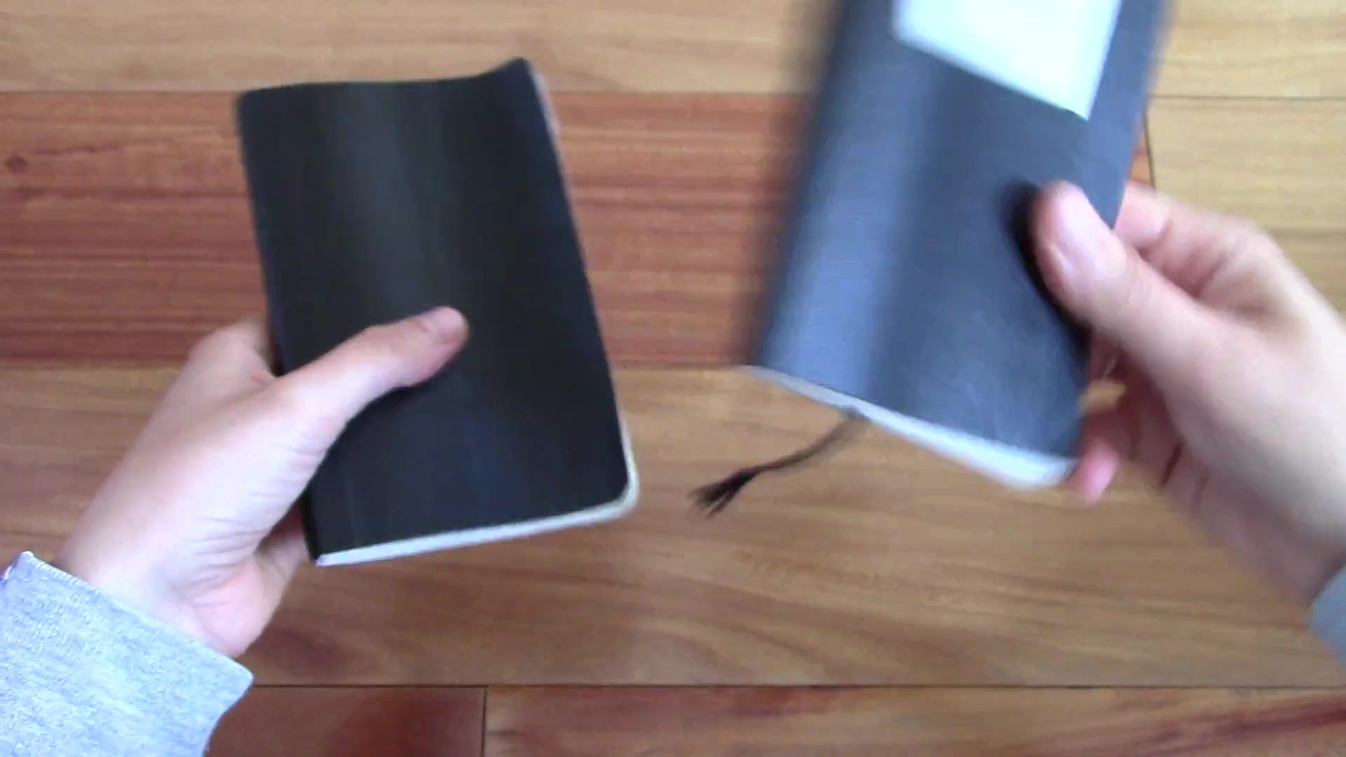 Moleskine vs Leuchtturm 1917 Durability Test RESULTS!! 13 Pocket notebook pages after daily use