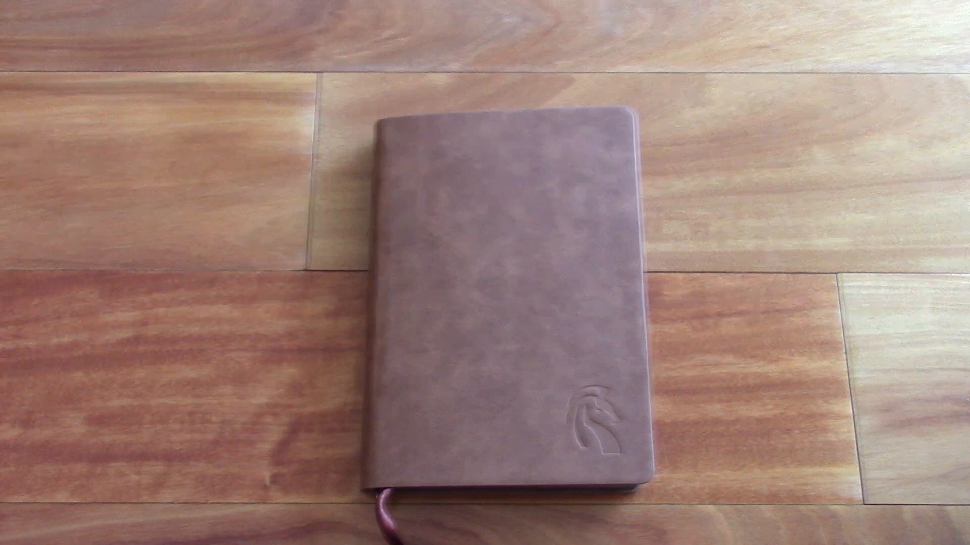 Brown leather journal used for the Journal Q&A video