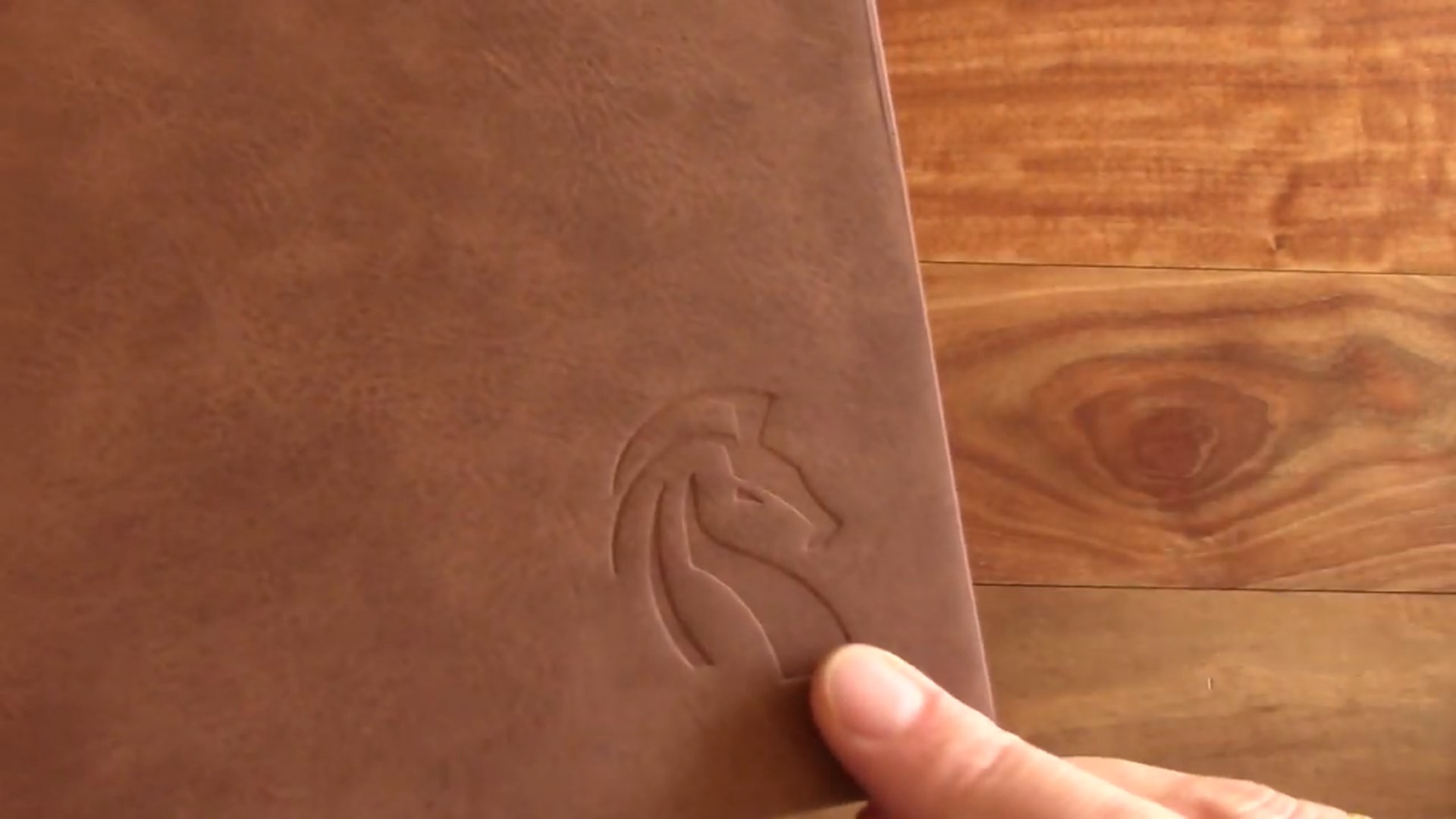 LeStallion Notebook Review 2 LeStallion notebook opened to ruled pages
