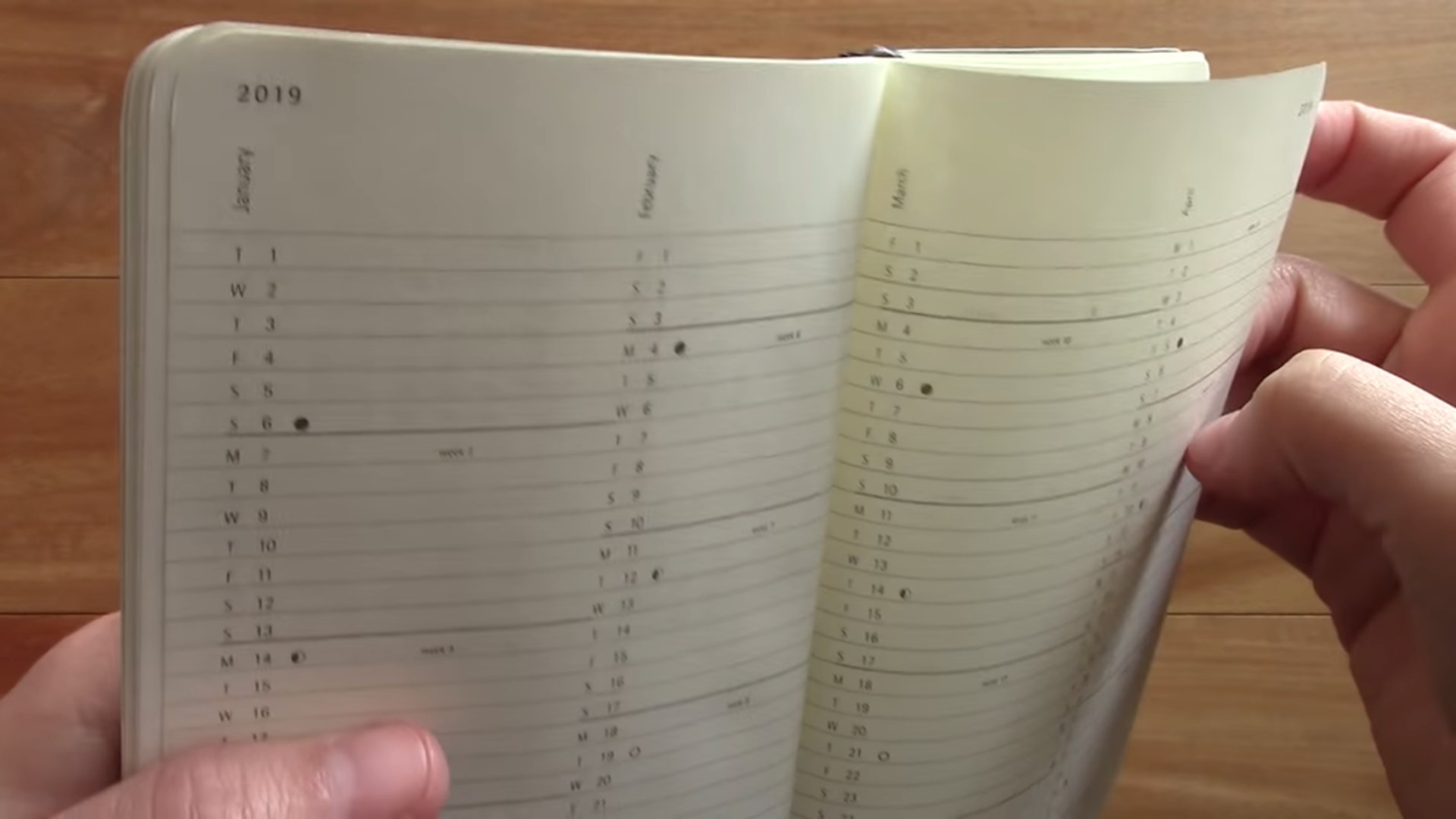 Moleskine Pocket Monthly Planner detail