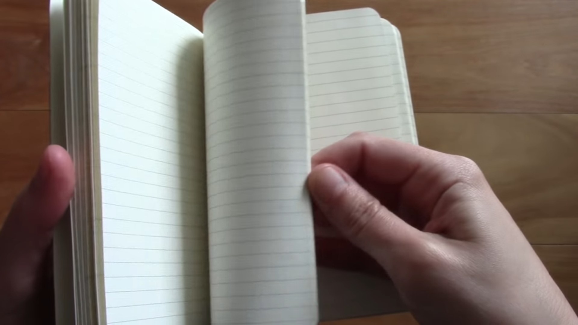 Moleskine Pocket Monthly Planner final view