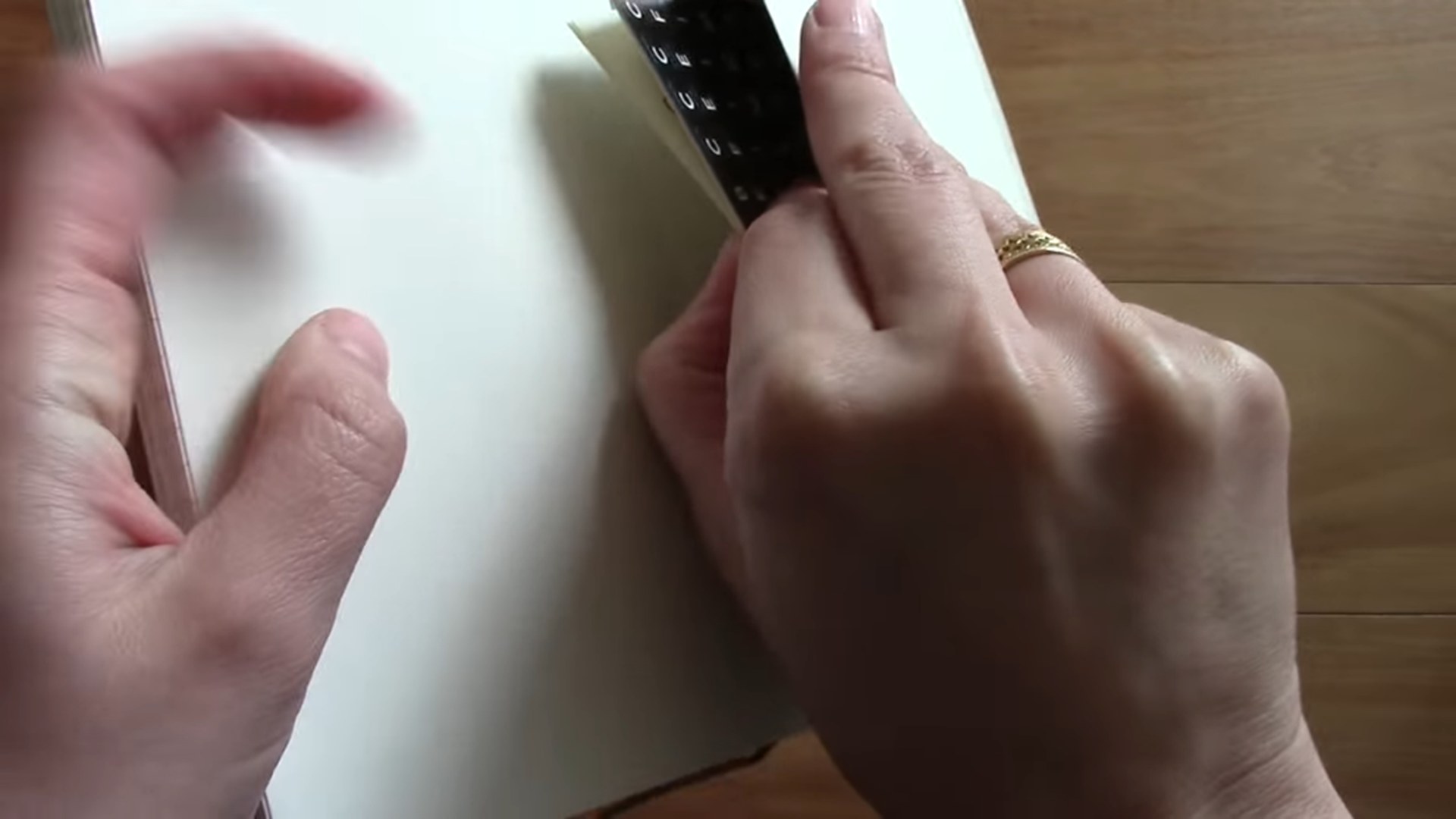 Moleskine Pocket Monthly Planner pages