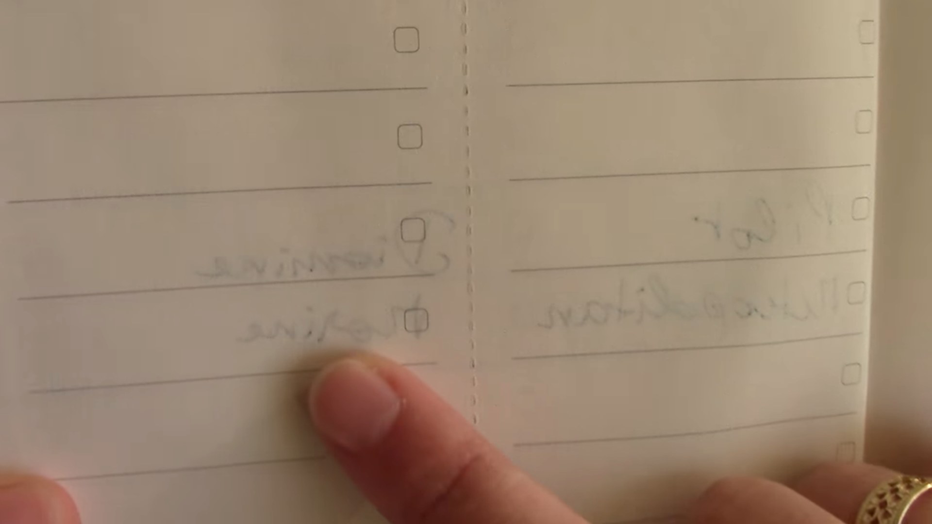 Moleskine Pro Planner final view
