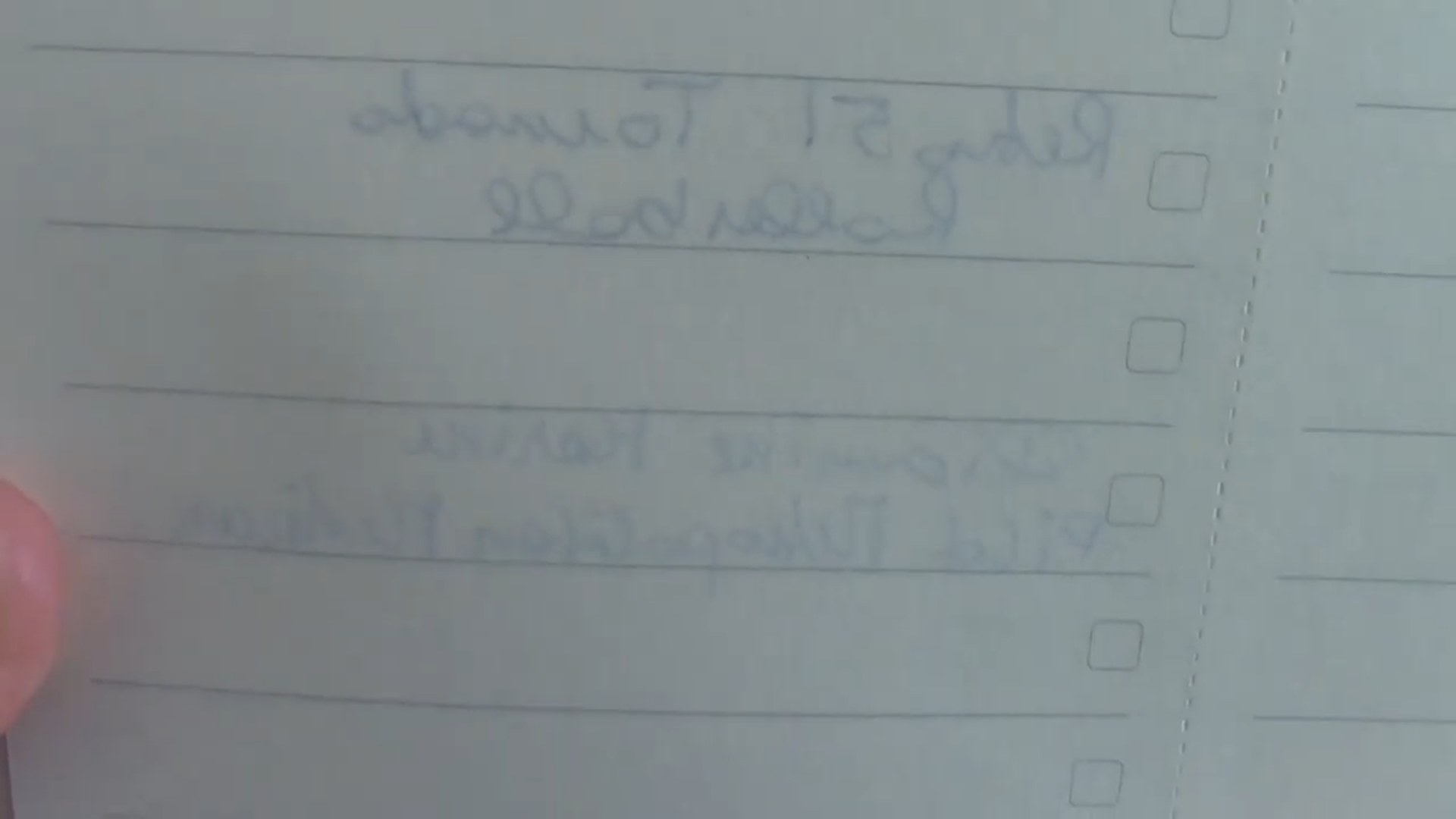 Moleskine notebook quality discussion with multiple examples