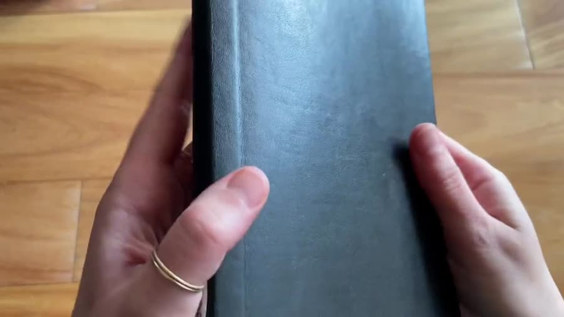 Close-up of Moleskine soft cover texture and sheen
