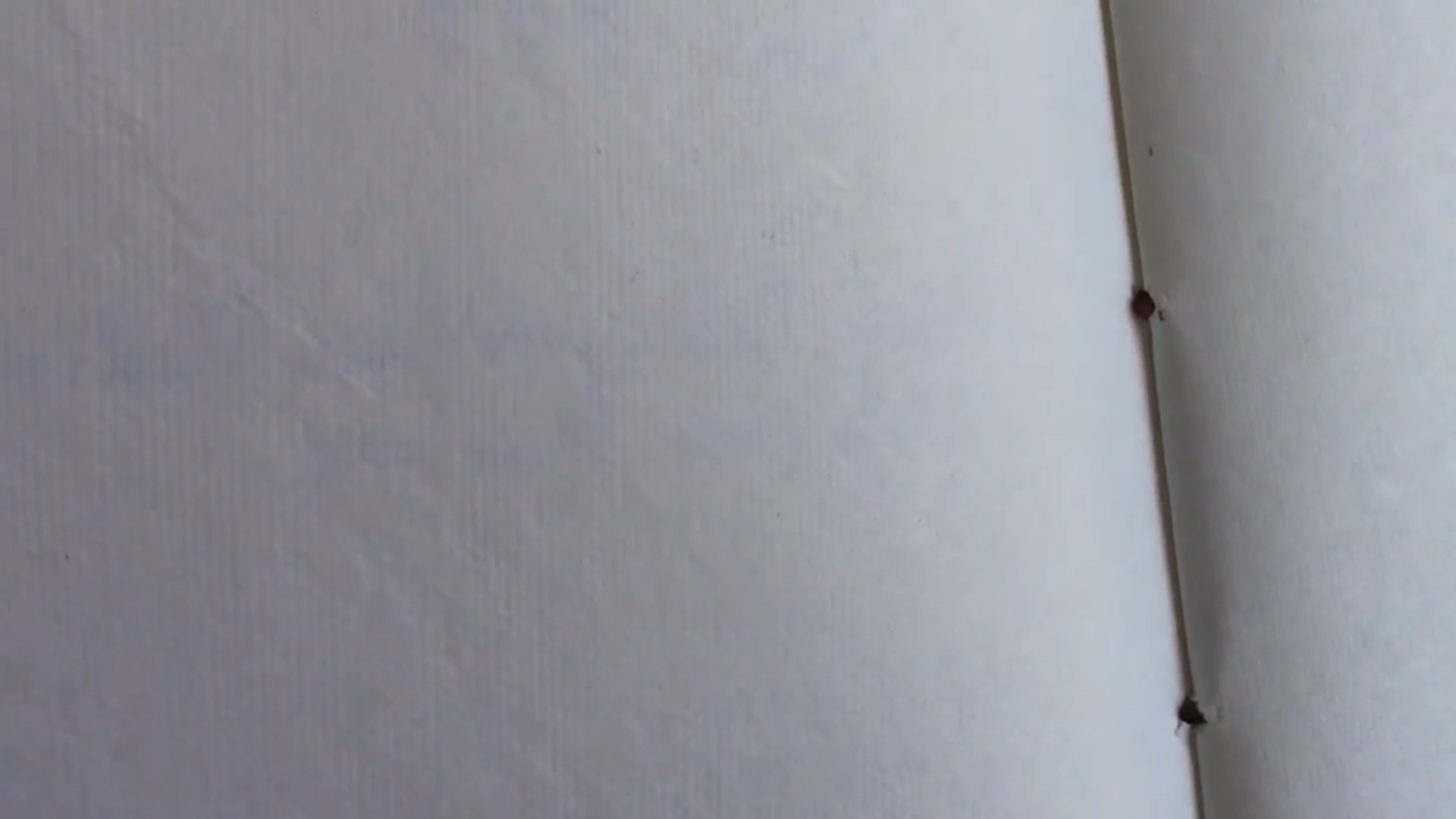 Moonster Tree of Life Leather Journal Review 6 Moonster Tree of Life journal final view