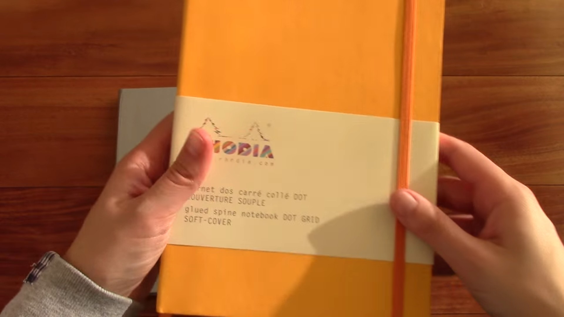 Rhodia Dotgrid Notebooks Review 5 Rhodia dotgrid paper detail