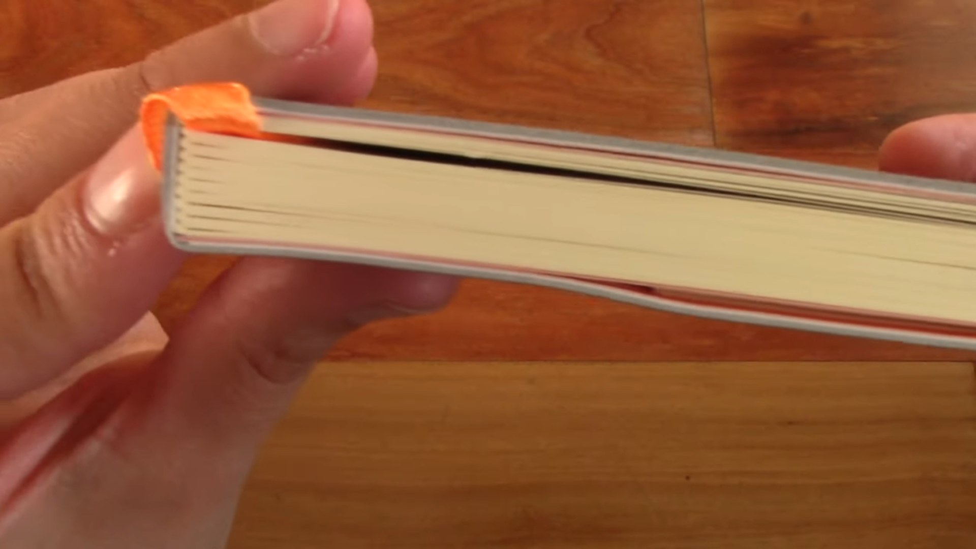 Rhodia Rhodiarama Notebook Review 3 Rhodia Rhodiarama notebook open