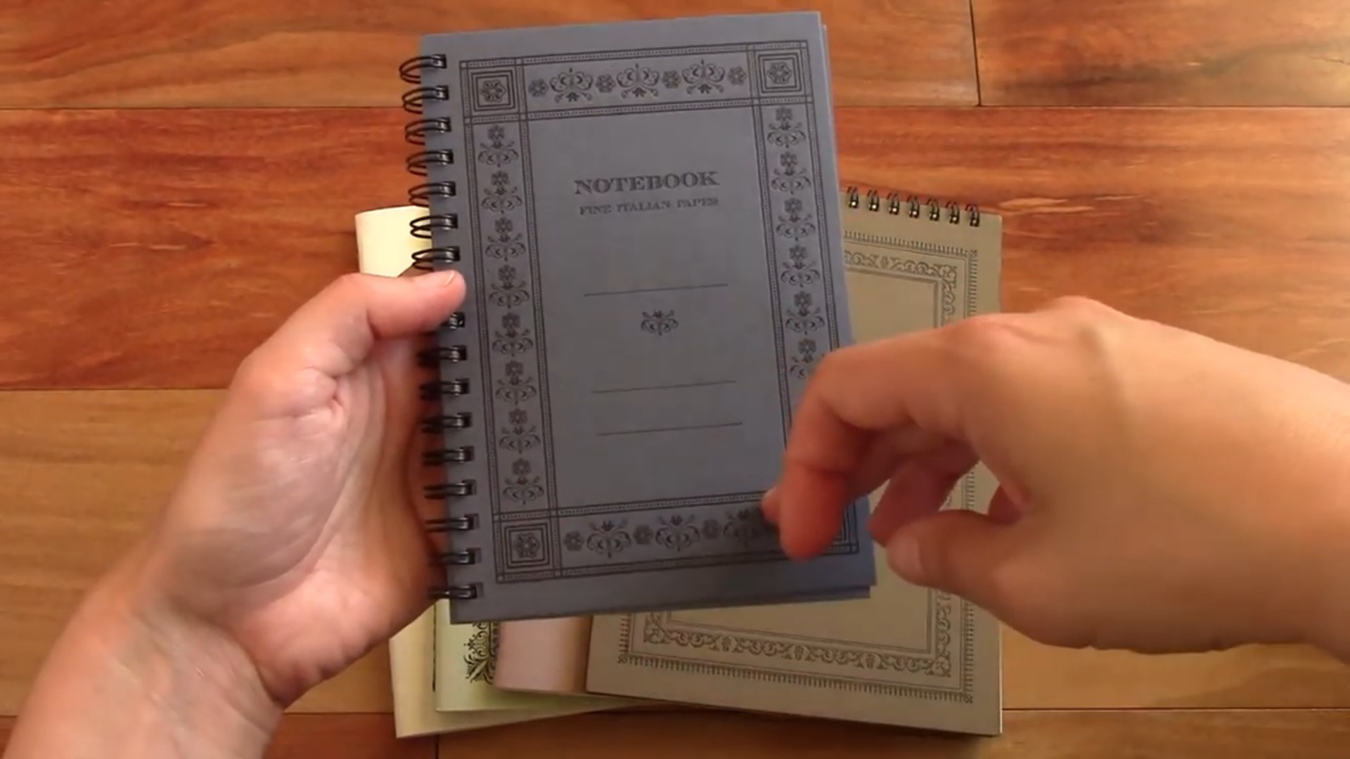 Rossi 1931 Notebook Review Pt 1 3 Rossi 1931 notebook open