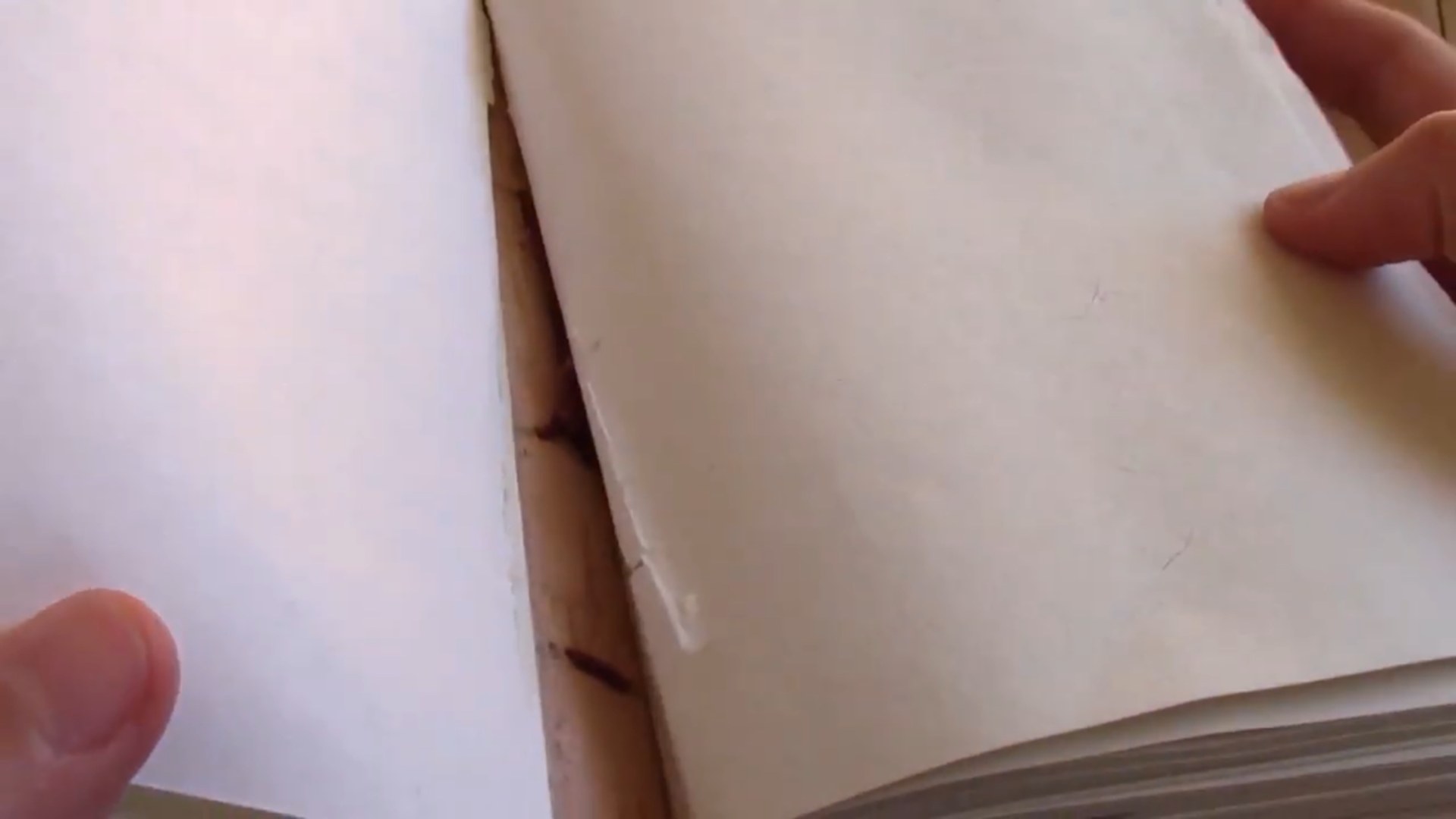 Soothi Zodiac Journal Durability Review 4 Soothi Zodiac Journal page detail
